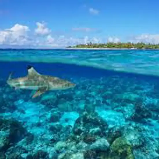 Image related to The Tiputa Pass Drift