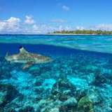 Image related to The Tiputa Pass Drift