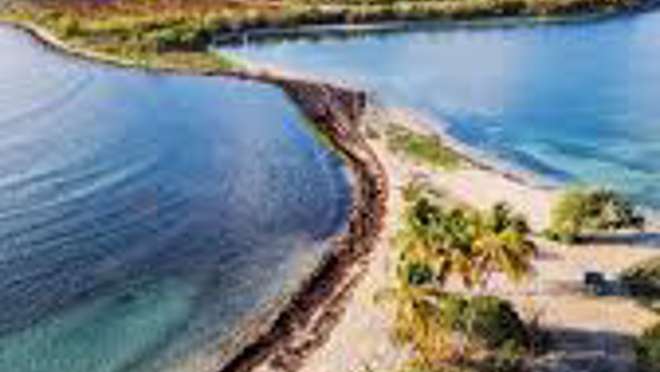 Vieques Island
