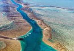 IgluCruise.Application.ViewModels.Shared.WebImageViewModel?.Description