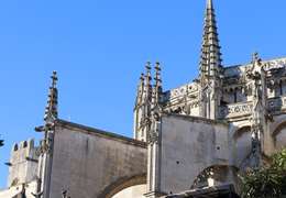 IgluCruise.Application.ViewModels.Shared.WebImageViewModel?.Description