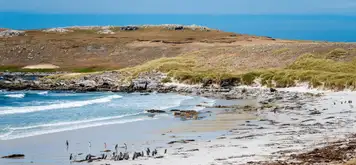 Image related to Falkland Islands - Overnight onboard