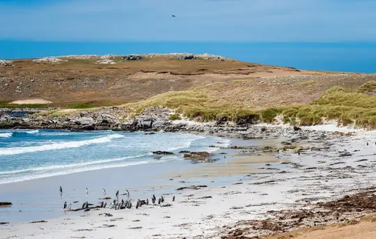 Image related to Falkland Islands - Overnight onboard