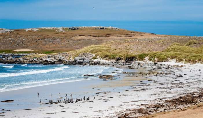 Falkland Islands - Overnight onboard