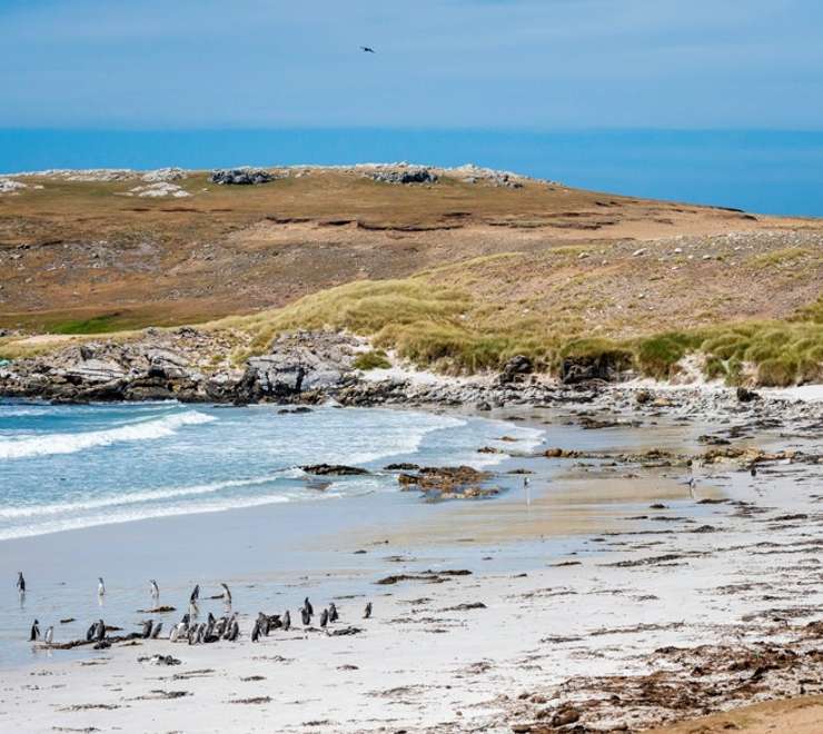 Falkland Islands - Overnight onboard
