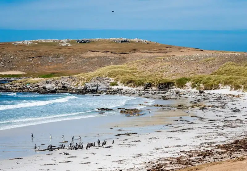 Falkland Islands - Overnight onboard
