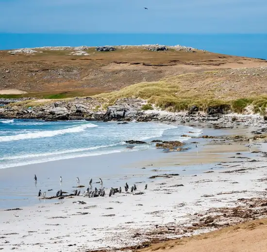 Image related to Falkland Islands - Overnight onboard