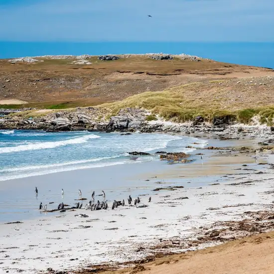 Image related to Falkland Islands - Overnight onboard