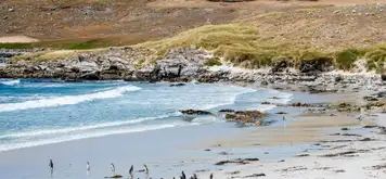 Image related to Falkland Islands - Overnight onboard