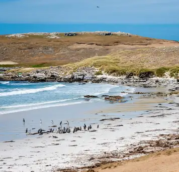 Falkland Islands