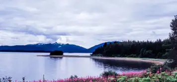 Image related to Klawock