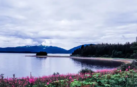 Image related to Klawock