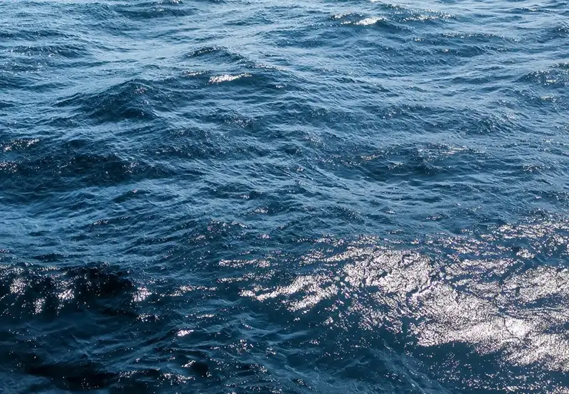 Image related to Lembeh Strait