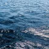 Image related to Lembeh Strait