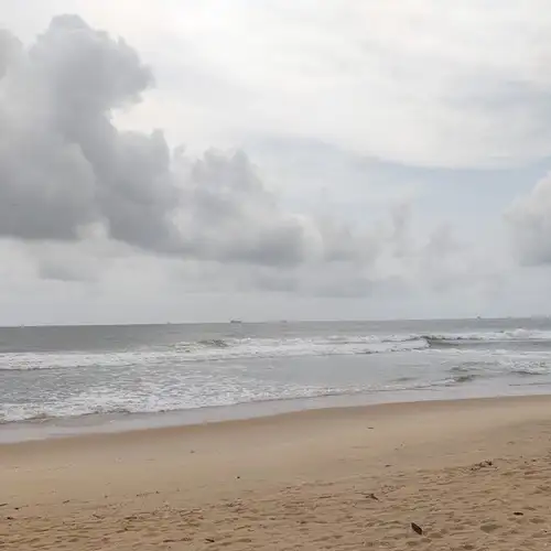 Image related to Image related to Shell Beach