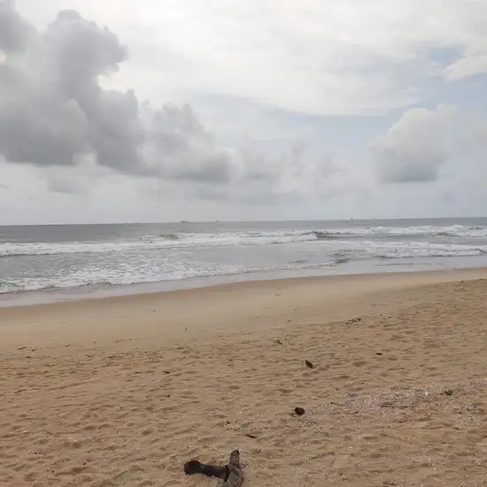 Image related to Image related to Shell Beach