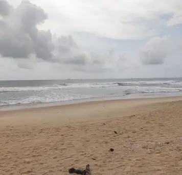 Image related to Shell Beach