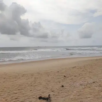 Image related to Image related to Shell Beach