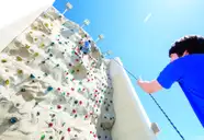 The Wall