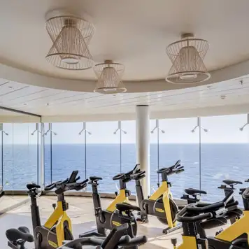 MSC Gym