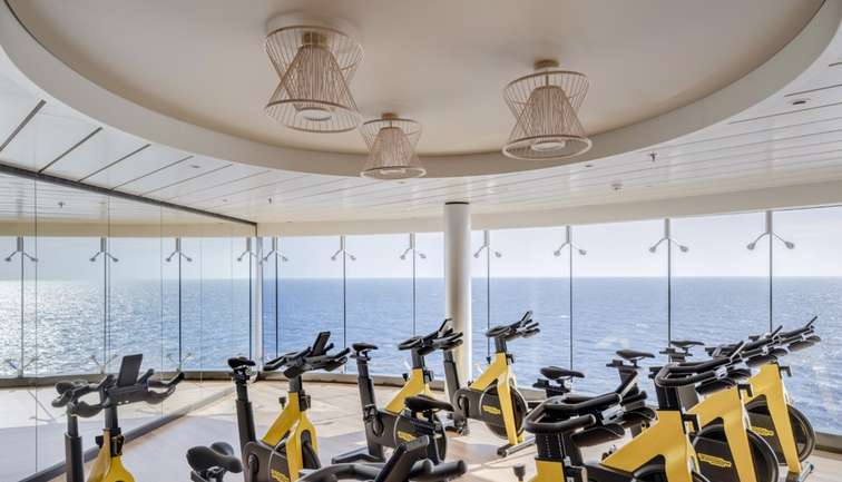 MSC Gym