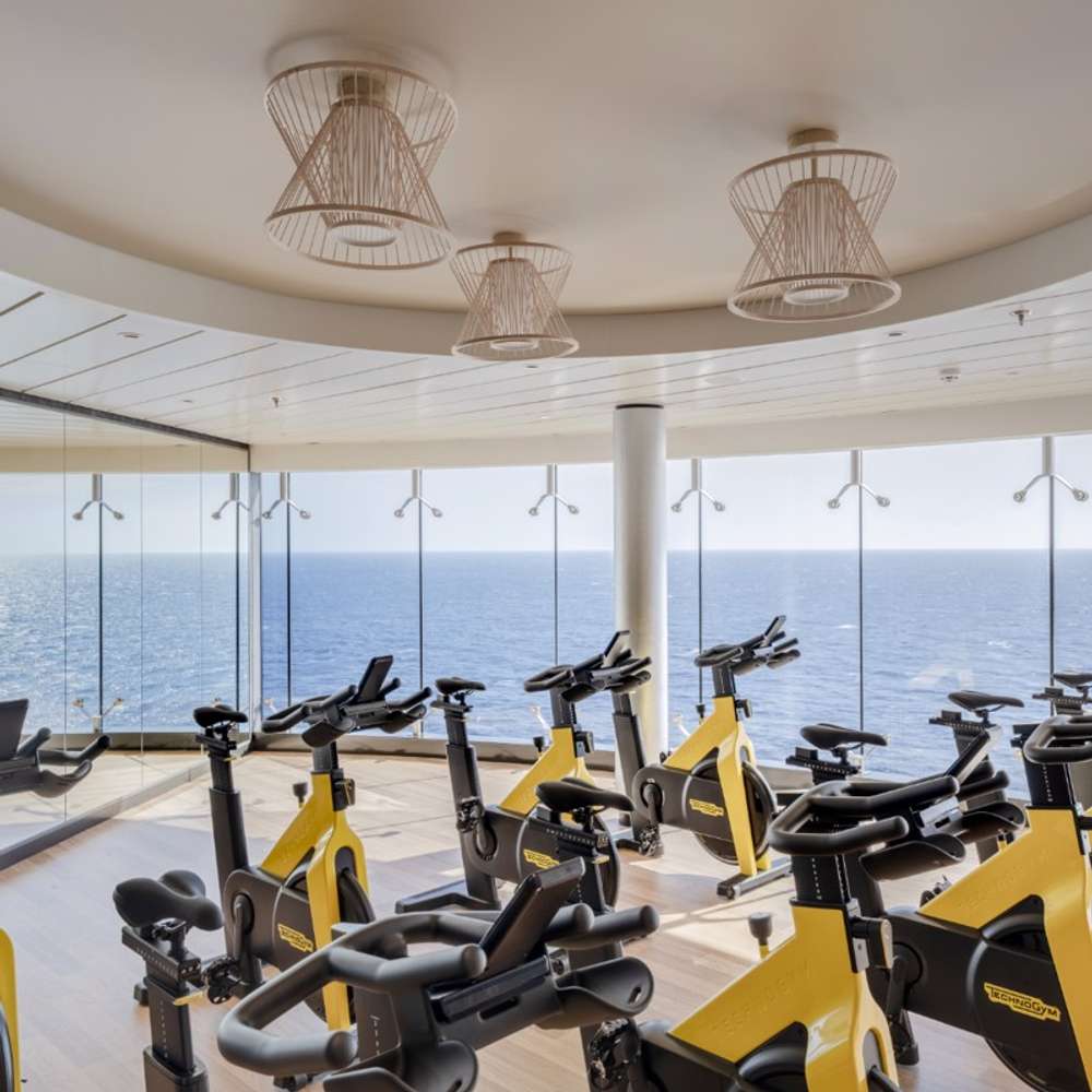 MSC Gym