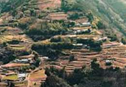 IgluCruise.Application.ViewModels.Shared.WebImageViewModel?.Description