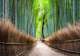 Arashiyama