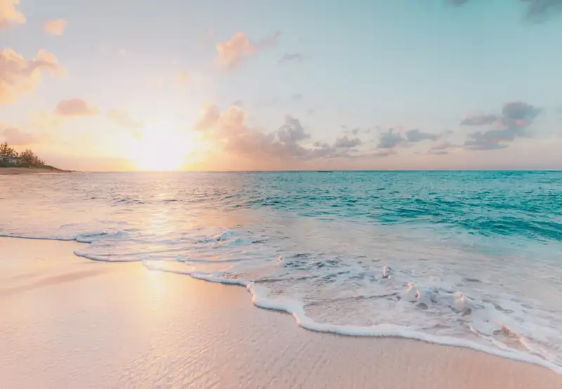 Image related to Maracas Beach