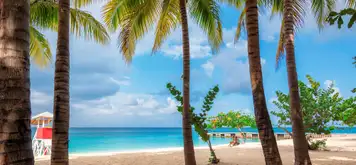 Image related to MONTEGO BAY (JAMAICA)