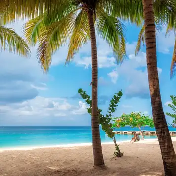 Image related to Montego Bay