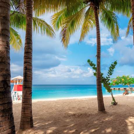 Photo overview of Montego Bay