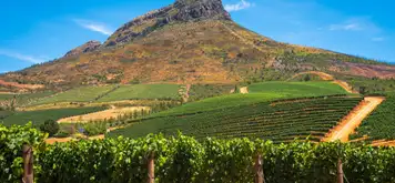 Image related to Cape Town - Stellenbosch