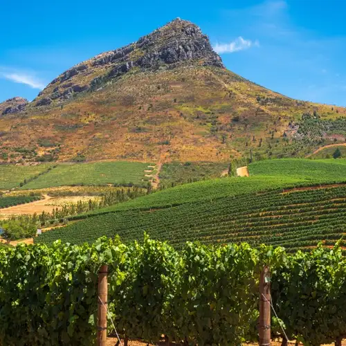 Image related to Cape Town - Stellenbosch