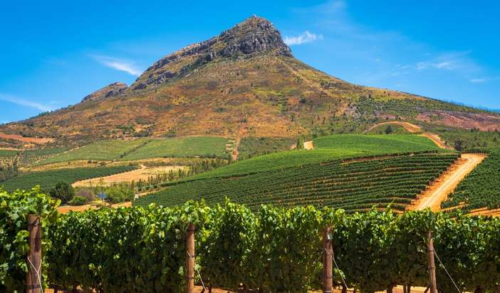 Cape Town - Stellenbosch