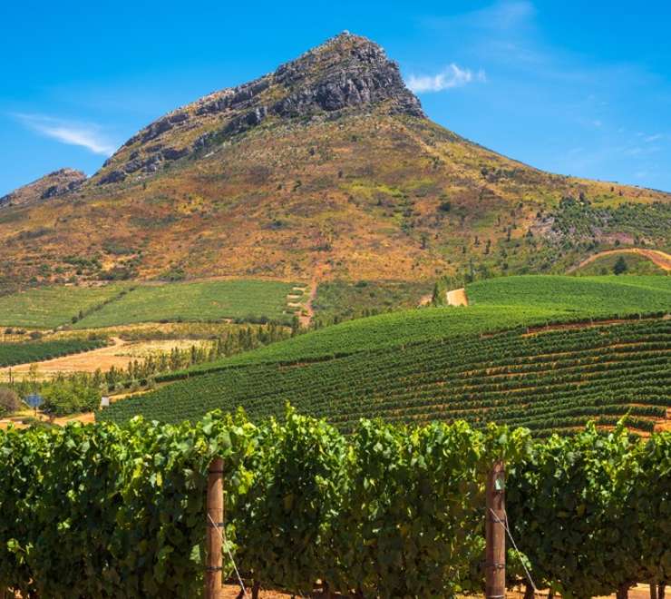 Cape Town - Stellenbosch