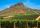 Cape Town - Stellenbosch