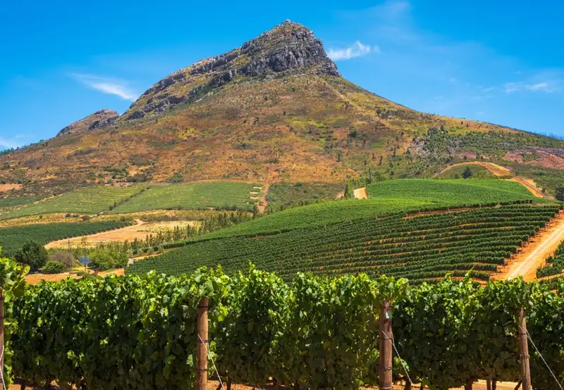 Cape Town - Stellenbosch