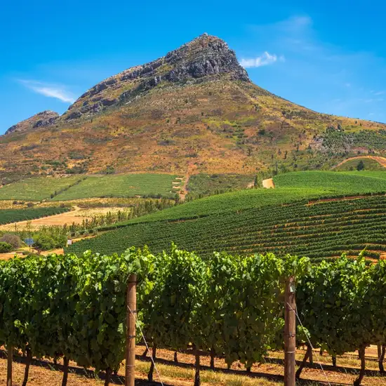 Image related to Cape Town - Stellenbosch