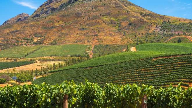 Travel from Cape Town to Stellenbosch