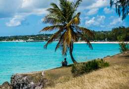 IgluCruise.Application.ViewModels.Shared.WebImageViewModel?.Description