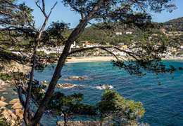 IgluCruise.Application.ViewModels.Shared.WebImageViewModel?.Description