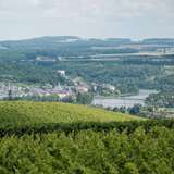 A view of Luxembourg towns on the Moselle river from the top of a vineyard-covered hill