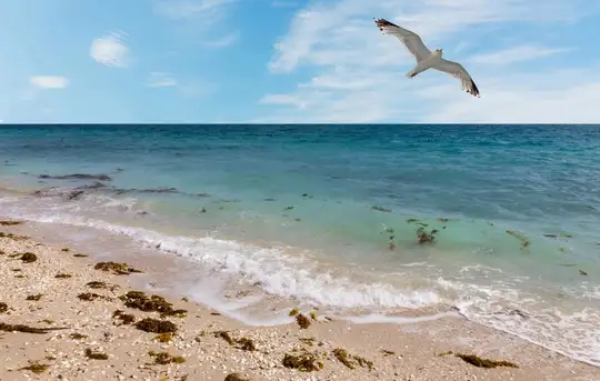 Image related to Nature Walk