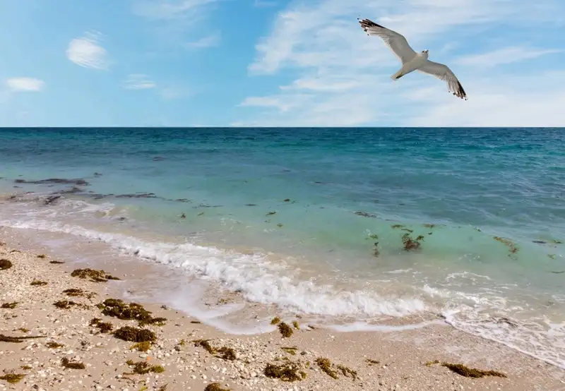 Image related to Nature Walk