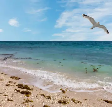 Image related to Nature Walk