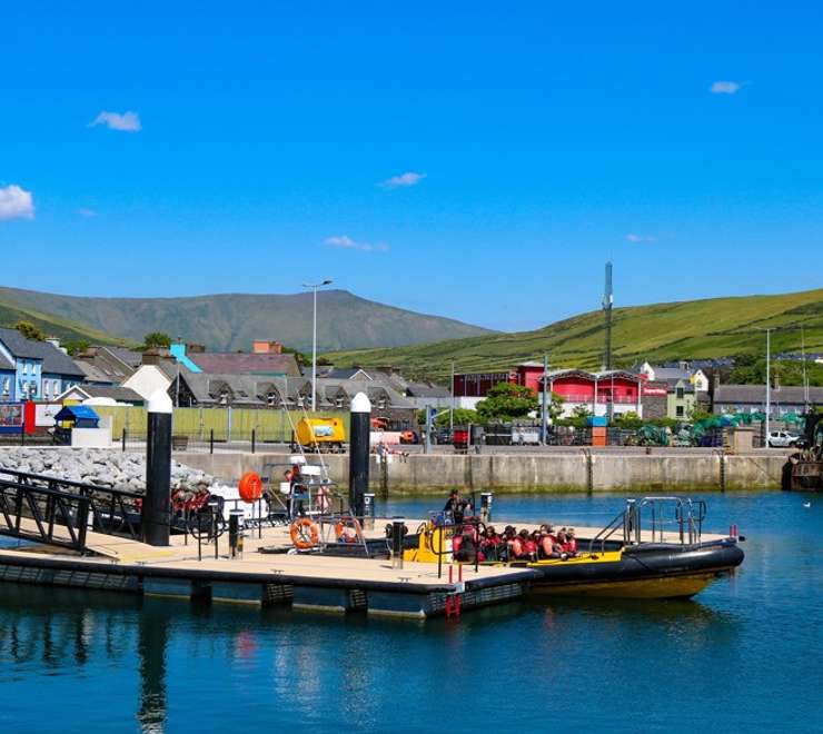 Dingle