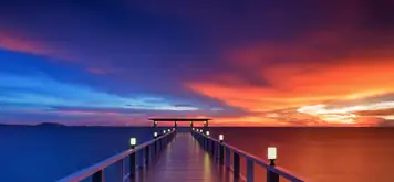 Image related to Male