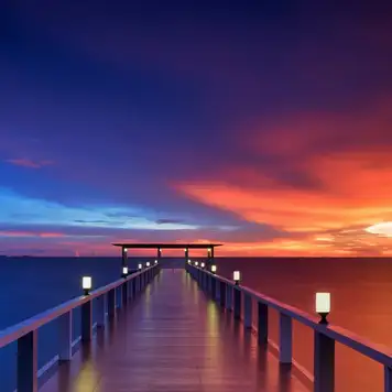 Image related to Male