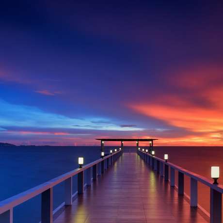 Photo overview of Male